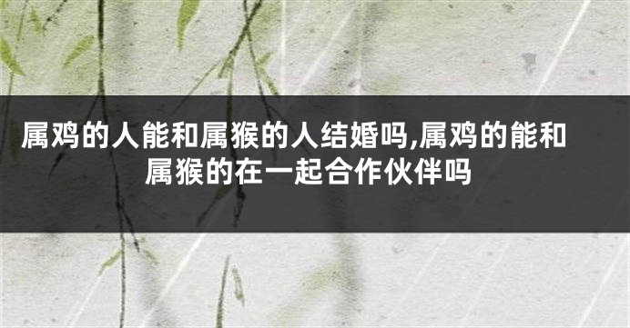 属鸡的人能和属猴的人结婚吗,属鸡的能和属猴的在一起合作伙伴吗