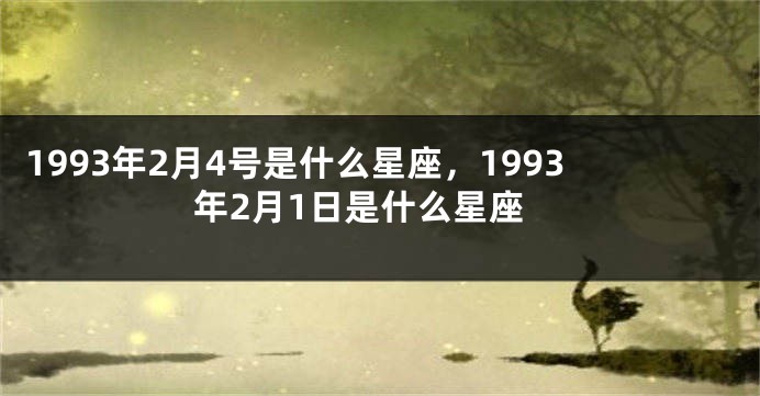 1993年2月4号是什么星座，1993年2月1日是什么星座