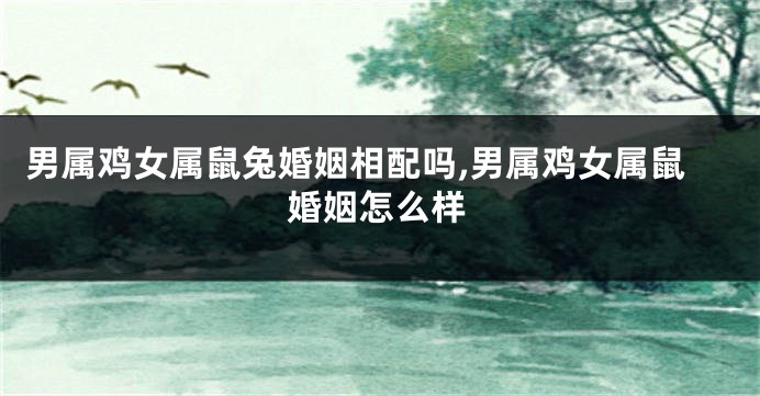男属鸡女属鼠兔婚姻相配吗,男属鸡女属鼠婚姻怎么样