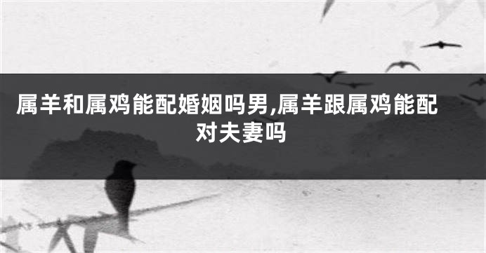属羊和属鸡能配婚姻吗男,属羊跟属鸡能配对夫妻吗