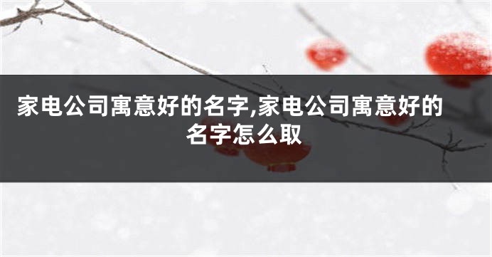 家电公司寓意好的名字,家电公司寓意好的名字怎么取