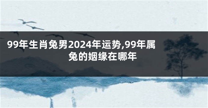 99年生肖兔男2024年运势,99年属兔的姻缘在哪年