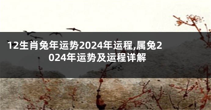 12生肖兔年运势2024年运程,属兔2024年运势及运程详解