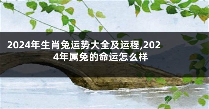 2024年生肖兔运势大全及运程,2024年属兔的命运怎么样