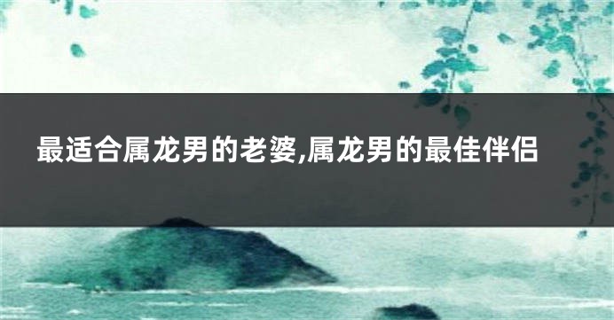 最适合属龙男的老婆,属龙男的最佳伴侣