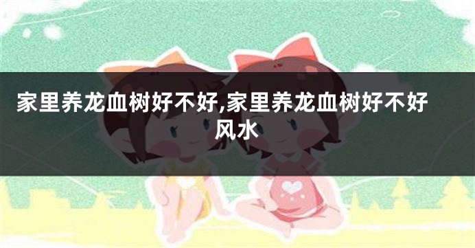 家里养龙血树好不好,家里养龙血树好不好风水