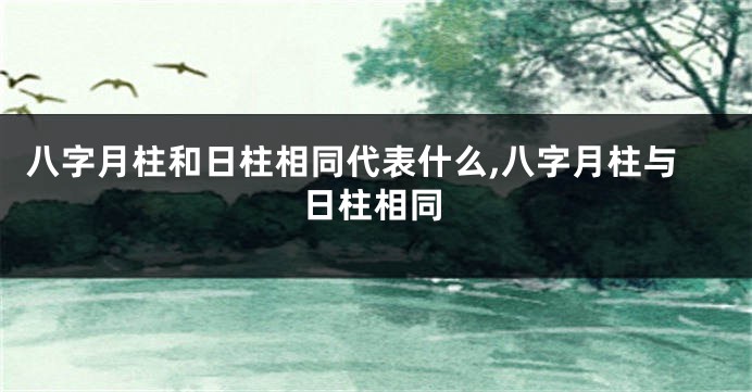 八字月柱和日柱相同代表什么,八字月柱与日柱相同