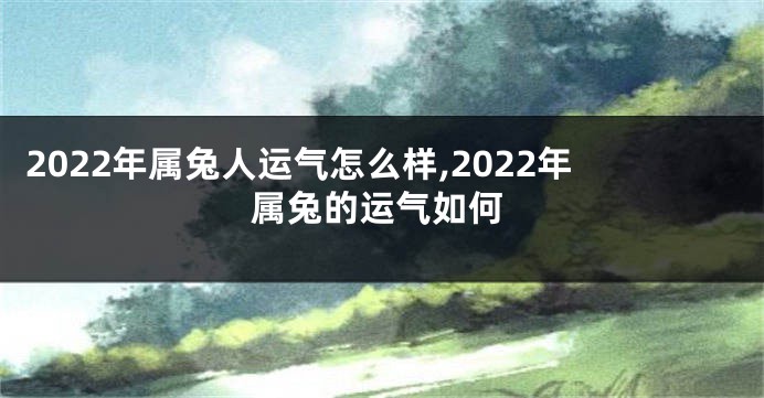 2022年属兔人运气怎么样,2022年属兔的运气如何