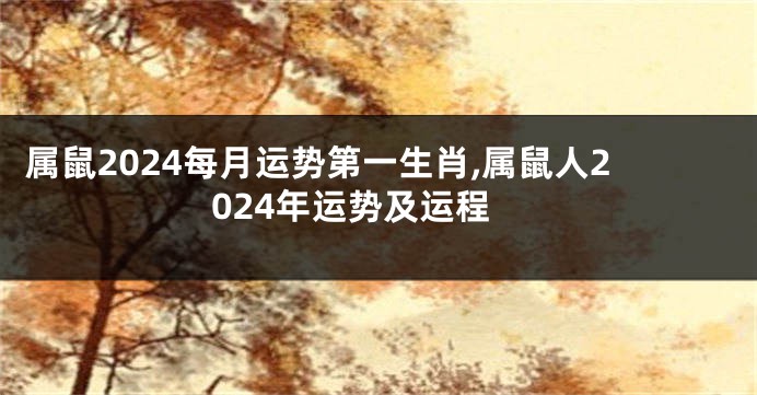 属鼠2024每月运势第一生肖,属鼠人2024年运势及运程