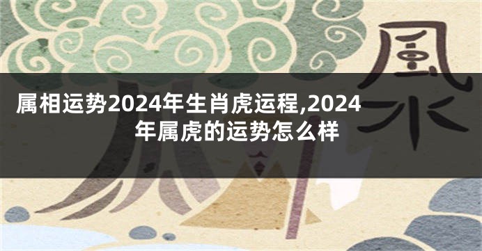 属相运势2024年生肖虎运程,2024年属虎的运势怎么样