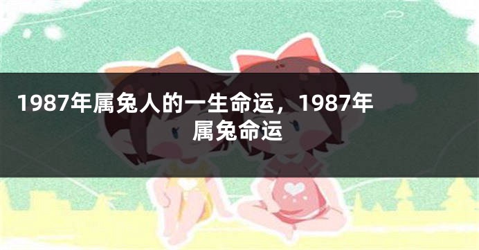 1987年属兔人的一生命运，1987年属兔命运