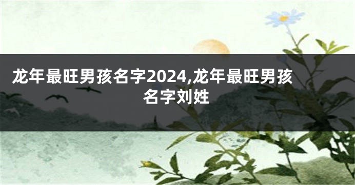 龙年最旺男孩名字2024,龙年最旺男孩名字刘姓