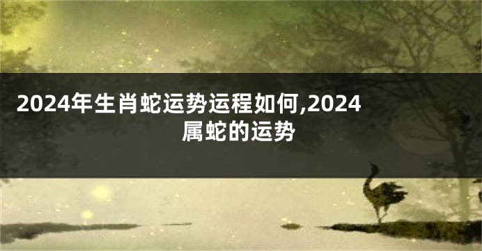 2024年生肖蛇运势运程如何,2024属蛇的运势
