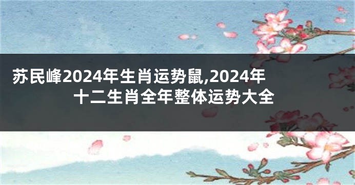 苏民峰2024年生肖运势鼠,2024年十二生肖全年整体运势大全