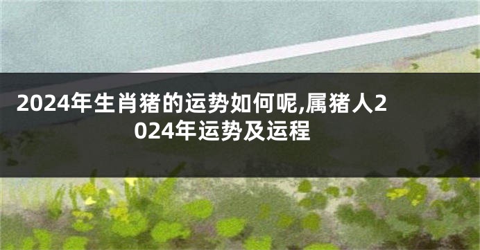 2024年生肖猪的运势如何呢,属猪人2024年运势及运程