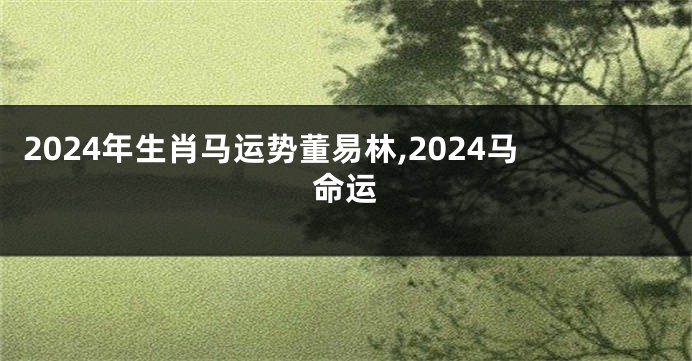 2024年生肖马运势董易林,2024马命运