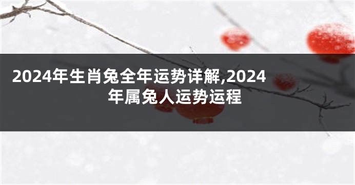 2024年生肖兔全年运势详解,2024年属兔人运势运程