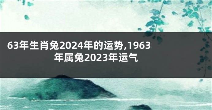 63年生肖兔2024年的运势,1963年属兔2023年运气