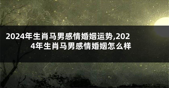 2024年生肖马男感情婚姻运势,2024年生肖马男感情婚姻怎么样