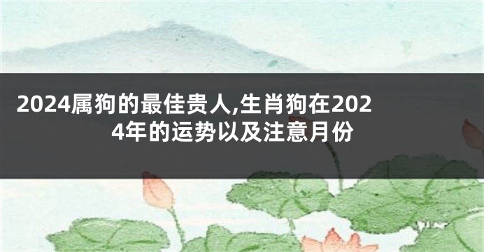 2024属狗的最佳贵人,生肖狗在2024年的运势以及注意月份
