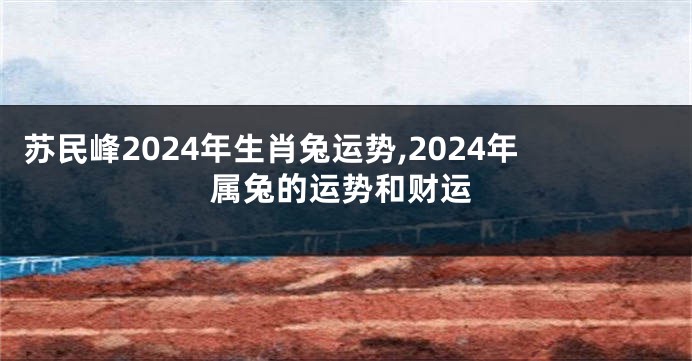 苏民峰2024年生肖兔运势,2024年属兔的运势和财运