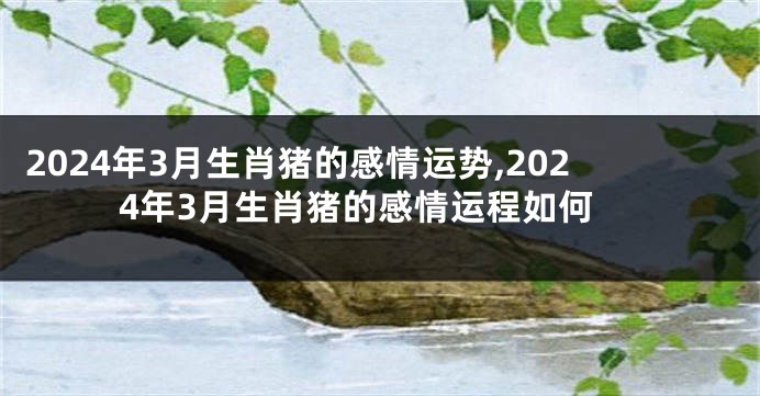 2024年3月生肖猪的感情运势,2024年3月生肖猪的感情运程如何