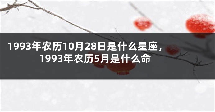 1993年农历10月28日是什么星座，1993年农历5月是什么命