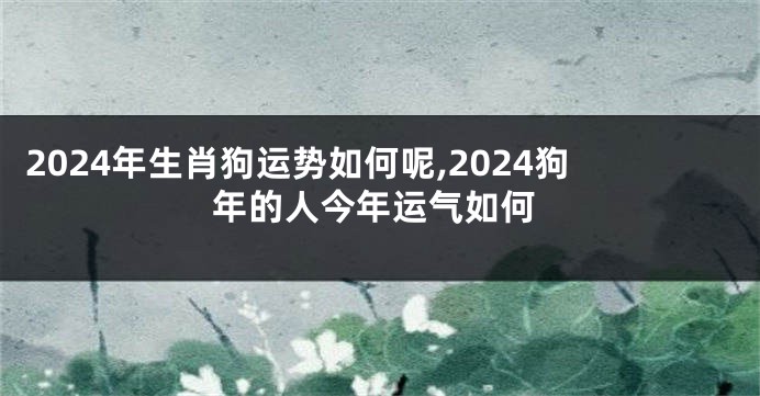 2024年生肖狗运势如何呢,2024狗年的人今年运气如何