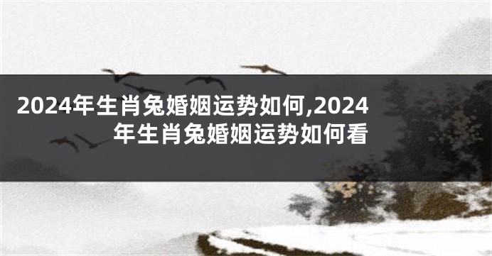 2024年生肖兔婚姻运势如何,2024年生肖兔婚姻运势如何看