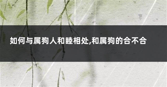 如何与属狗人和睦相处,和属狗的合不合