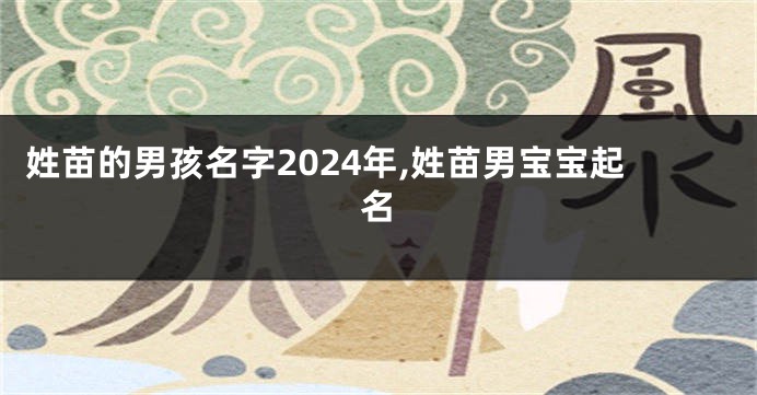 姓苗的男孩名字2024年,姓苗男宝宝起名