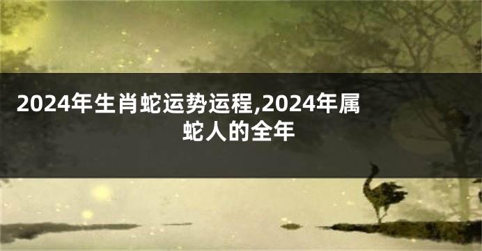 2024年生肖蛇运势运程,2024年属蛇人的全年