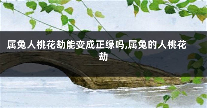 属兔人桃花劫能变成正缘吗,属兔的人桃花劫