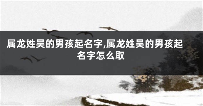 属龙姓吴的男孩起名字,属龙姓吴的男孩起名字怎么取
