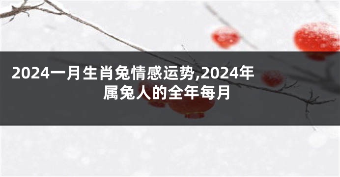 2024一月生肖兔情感运势,2024年属兔人的全年每月