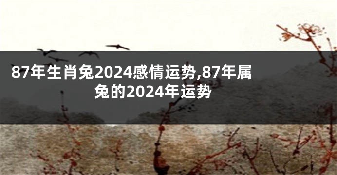 87年生肖兔2024感情运势,87年属兔的2024年运势