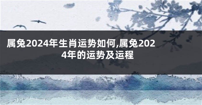 属兔2024年生肖运势如何,属兔2024年的运势及运程