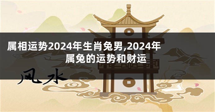 属相运势2024年生肖兔男,2024年属兔的运势和财运