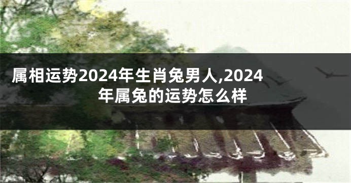 属相运势2024年生肖兔男人,2024年属兔的运势怎么样