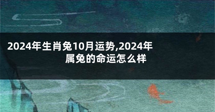 2024年生肖兔10月运势,2024年属兔的命运怎么样