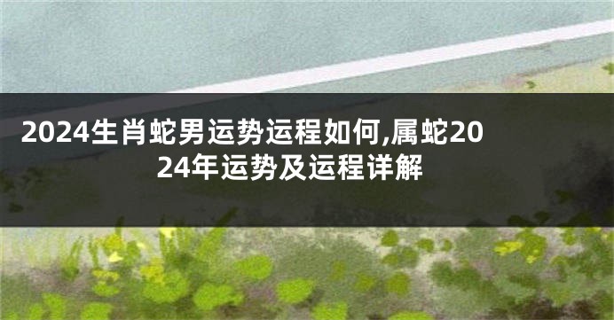 2024生肖蛇男运势运程如何,属蛇2024年运势及运程详解