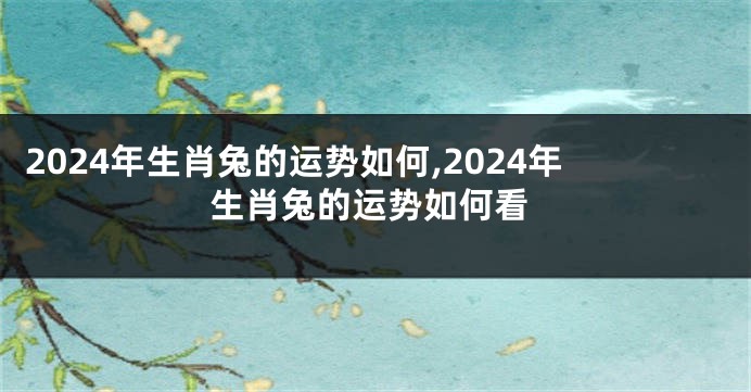 2024年生肖兔的运势如何,2024年生肖兔的运势如何看