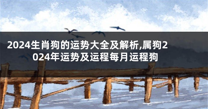 2024生肖狗的运势大全及解析,属狗2024年运势及运程每月运程狗