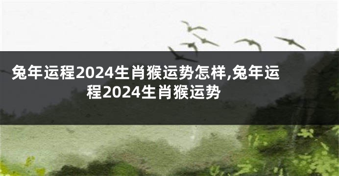兔年运程2024生肖猴运势怎样,兔年运程2024生肖猴运势