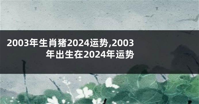 2003年生肖猪2024运势,2003年出生在2024年运势