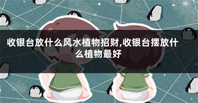 收银台放什么风水植物招财,收银台摆放什么植物最好