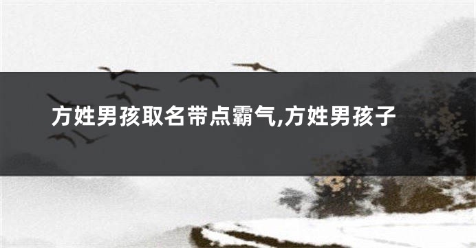 方姓男孩取名带点霸气,方姓男孩子