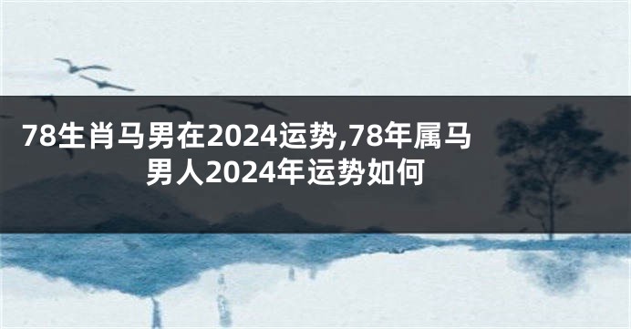 78生肖马男在2024运势,78年属马男人2024年运势如何