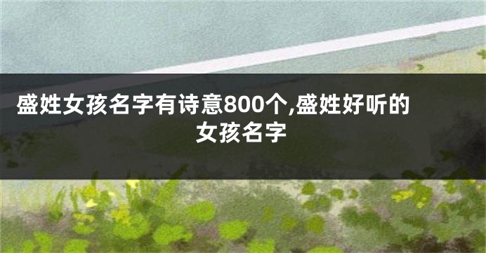 盛姓女孩名字有诗意800个,盛姓好听的女孩名字