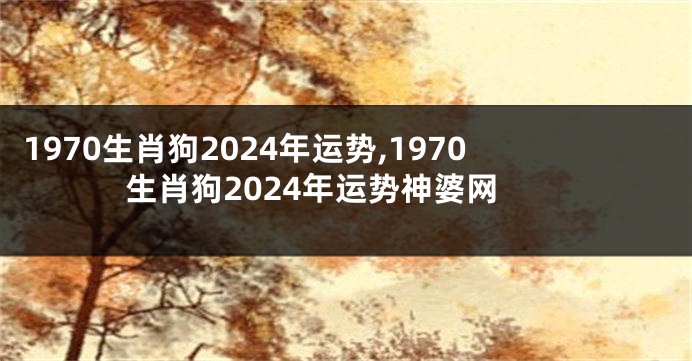 1970生肖狗2024年运势,1970生肖狗2024年运势神婆网